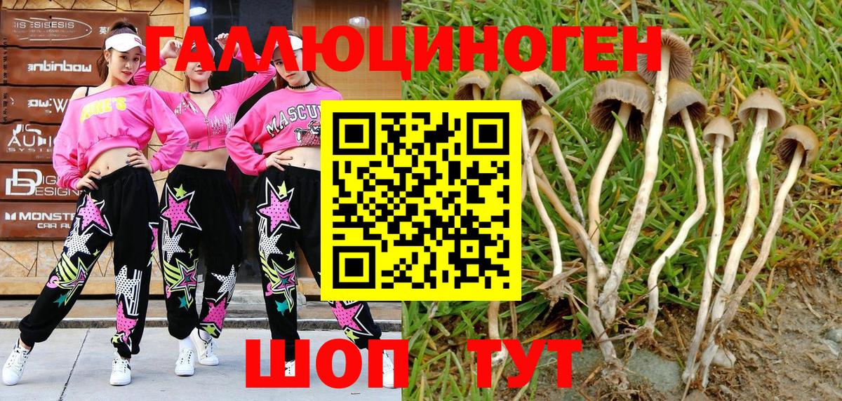 Галлюциногенные грибы GOLDEN TEACHER Россия