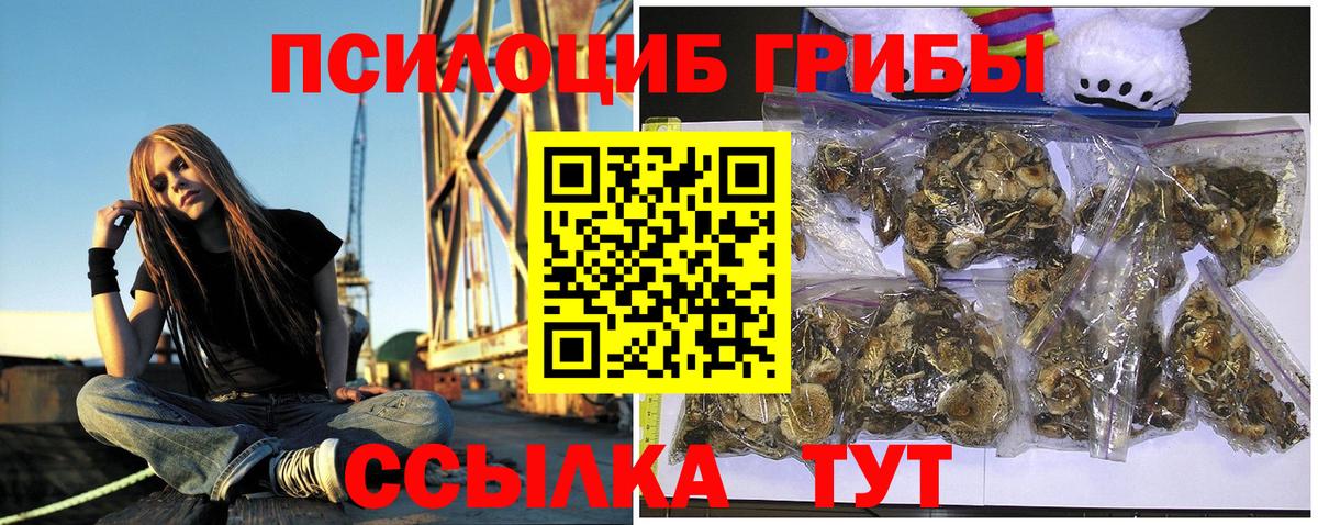 Галлюциногенные грибы мицелий  Вход с VPN  Россия  Галлюциногенные грибы Magic Shrooms 